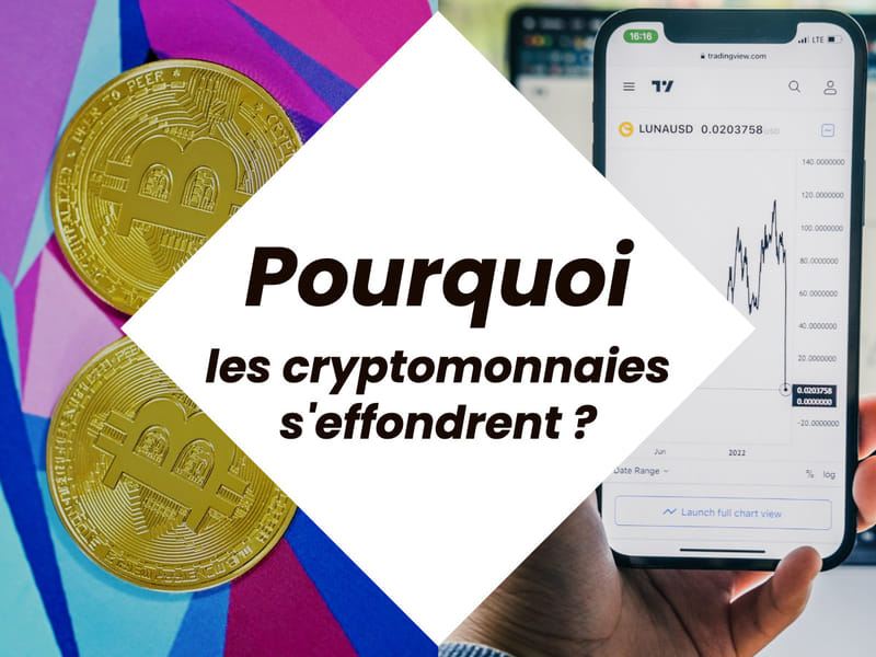 Terra Luna, Bitcoin, Ethereum... Pourquoi les cryptomonnaies chutent-elles ?