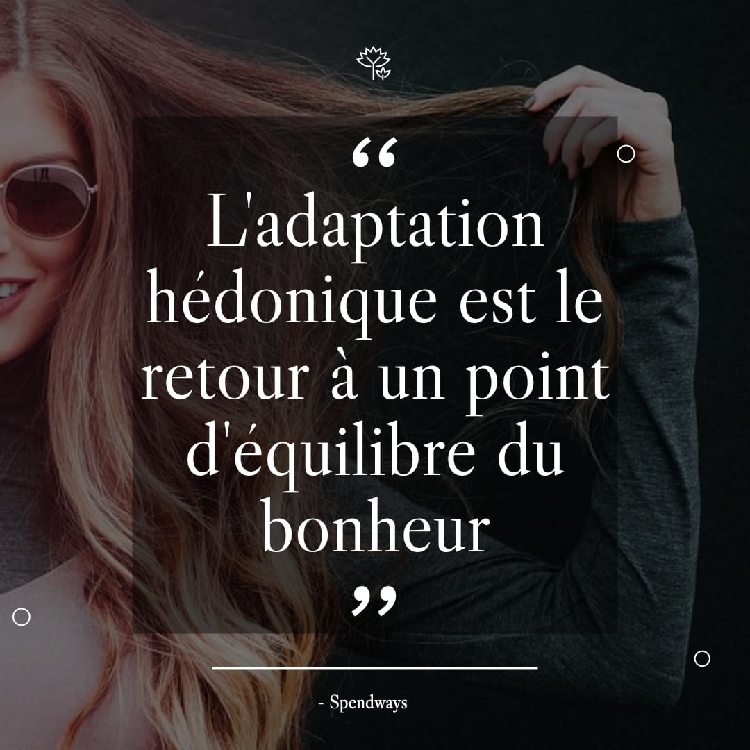 Adaption hédonique définition