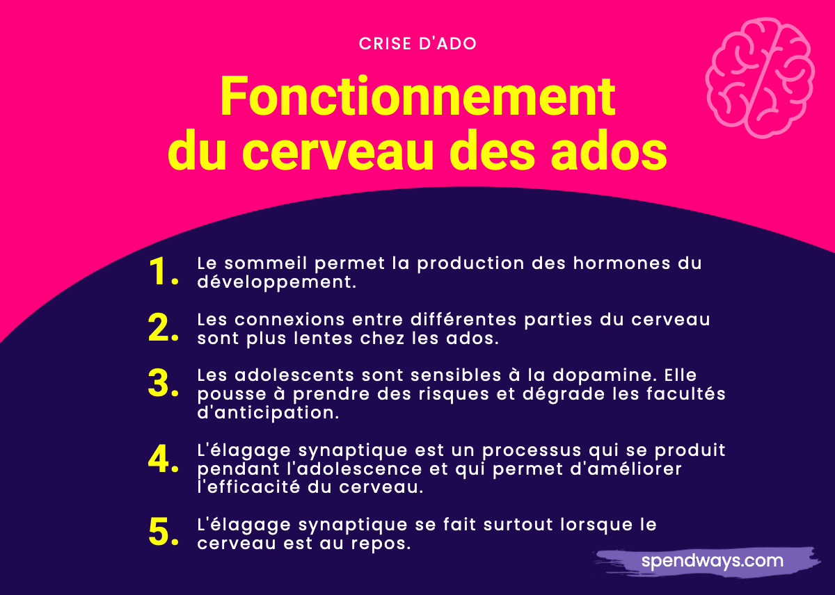 Fonctionnement du cerveau des ados